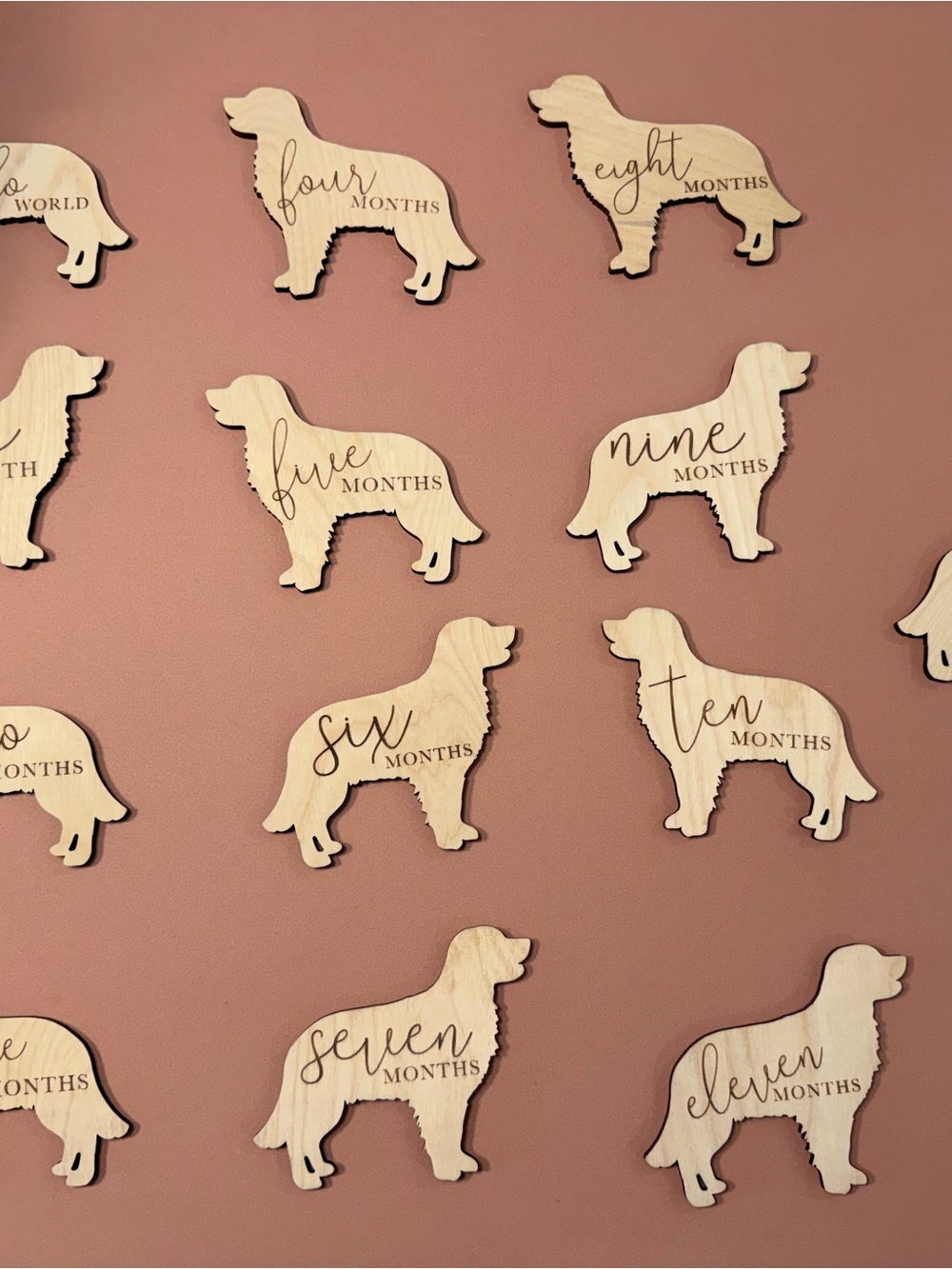 Wooden Golden Retriever Baby Milestone Set